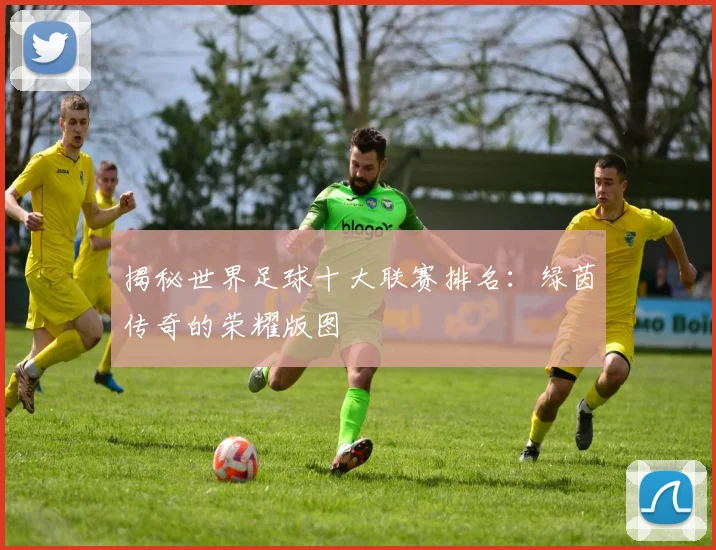 揭秘世界足球十大联赛排名：绿茵传奇的荣耀版图
